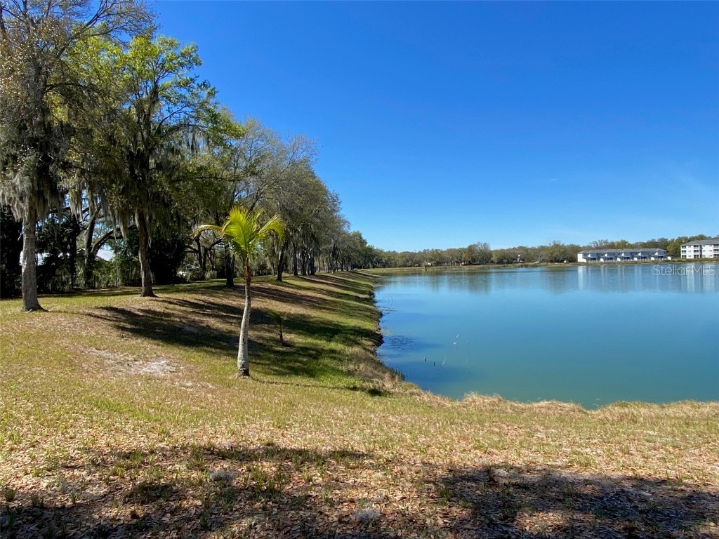 Son Keen Road Plant City FL 33566 T3505944 image5