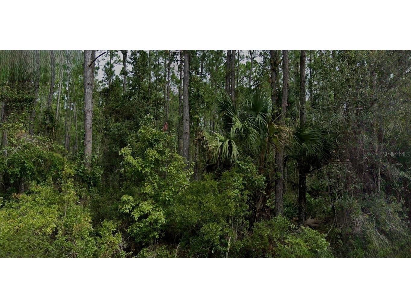 Song Sparrow Street Palatka FL 32177 O6346061 image1