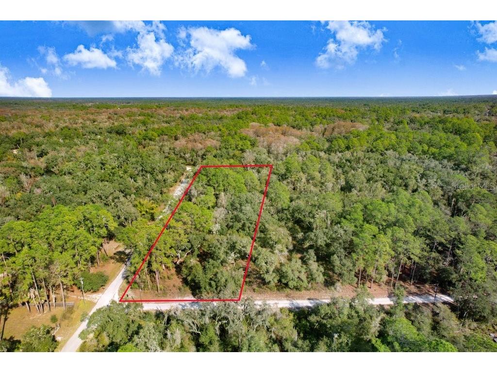 Sonia Avenue Webster FL 33597 TB8454398 image1