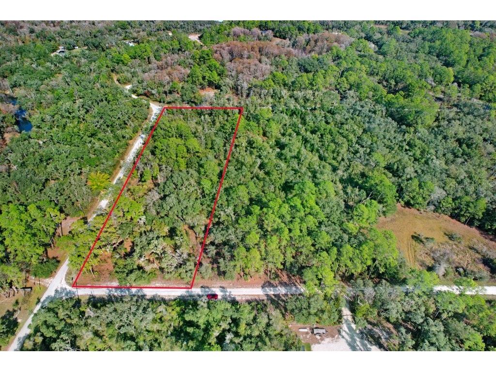 Sonia Avenue Webster FL 33597 TB8454398 image11