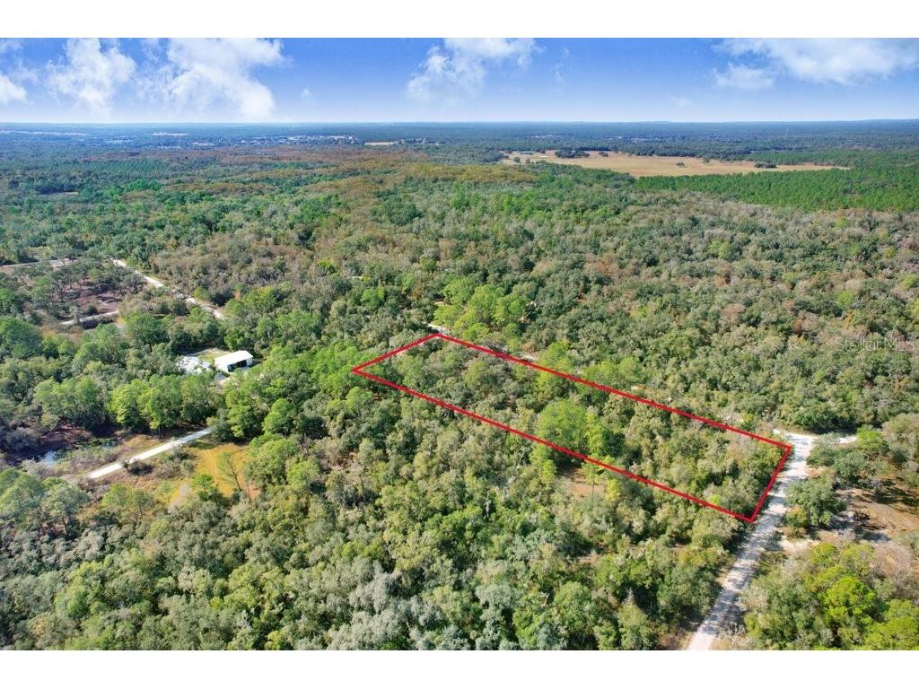 Sonia Avenue Webster FL 33597 TB8454398 image3