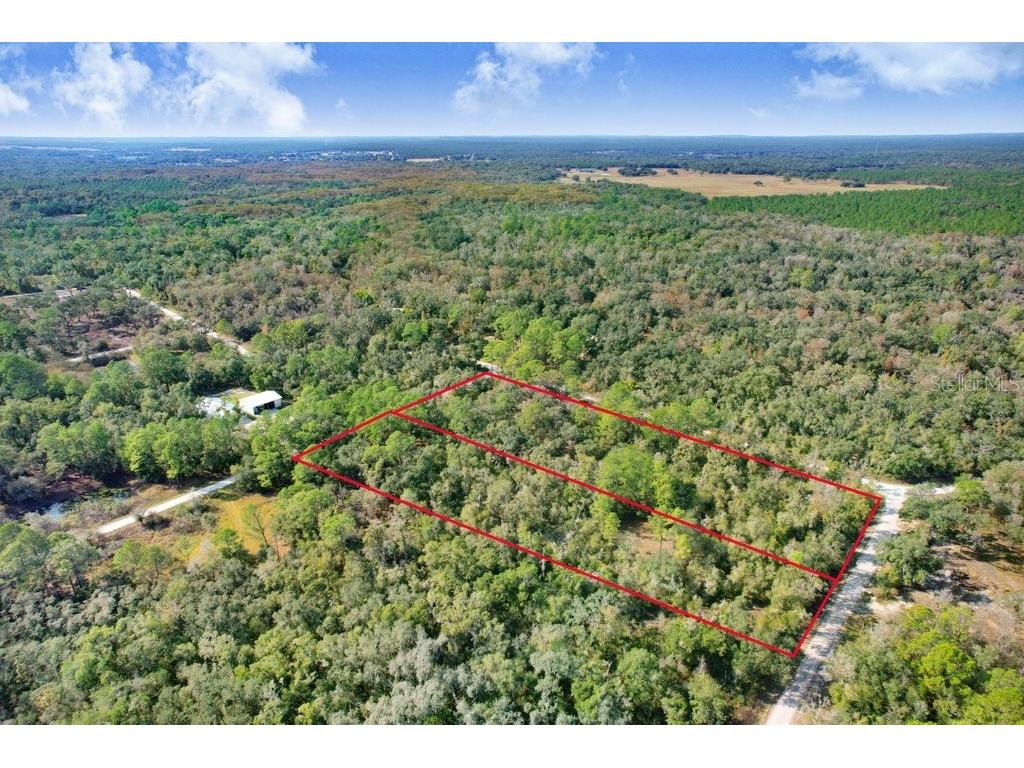 Sonia Avenue Webster FL 33597 TB8454398 image4