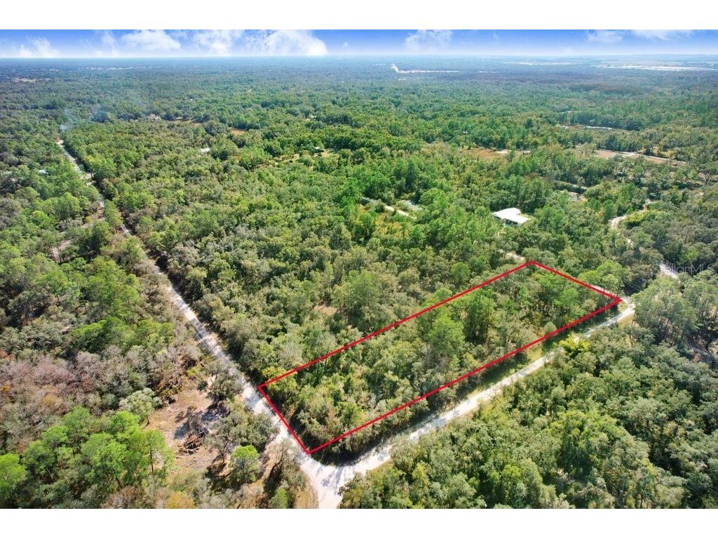 Sonia Avenue Webster FL 33597 TB8454398 image5