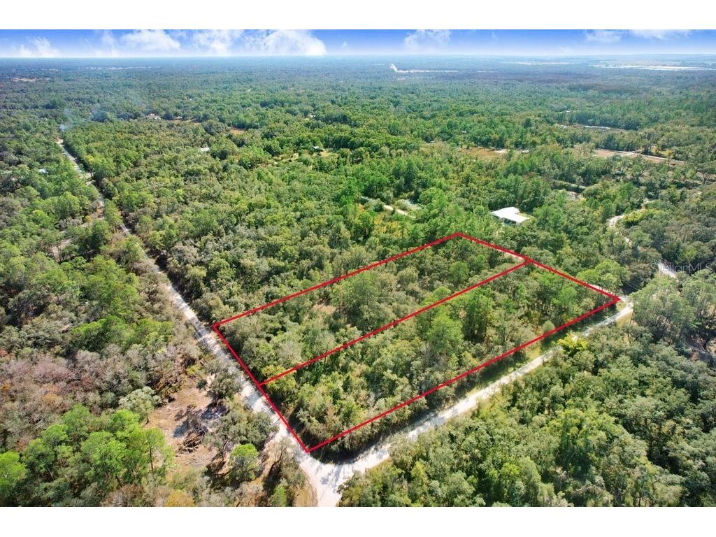 Sonia Avenue Webster FL 33597 TB8454398 image6