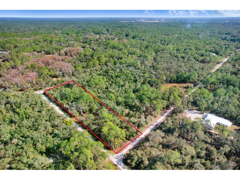 Sonia Avenue Webster FL 33597 TB8454398 image7