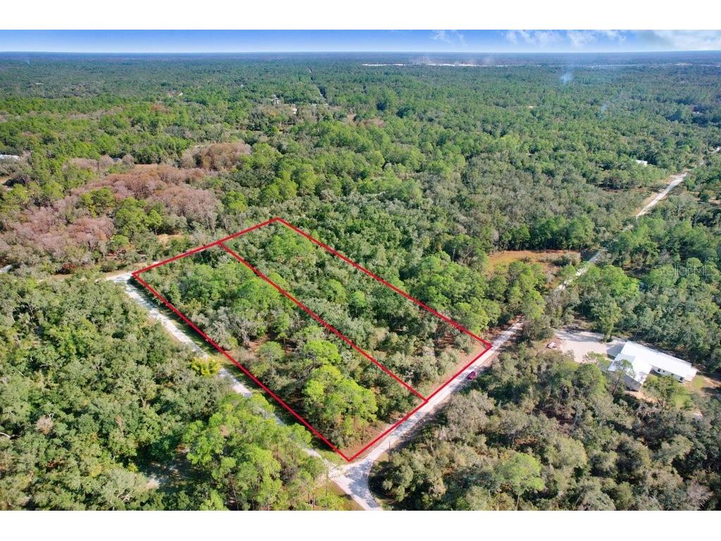 Sonia Avenue Webster FL 33597 TB8454398 image8