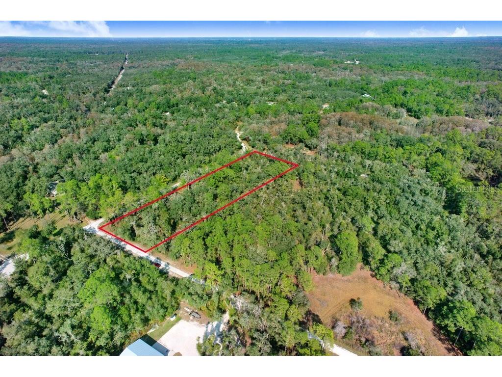 Sonia Avenue Webster FL 33597 TB8454398 image9