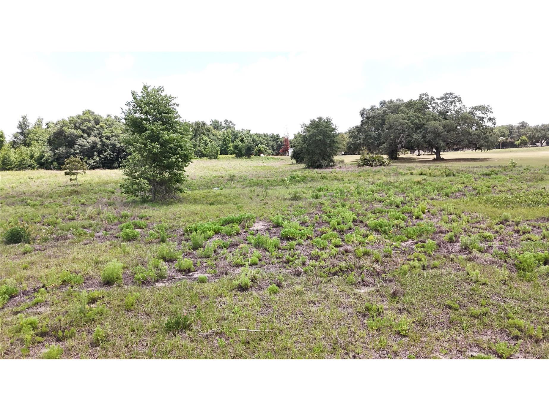 Sonoma Ridge Road Clermont FL 34715 TB8504353 image8