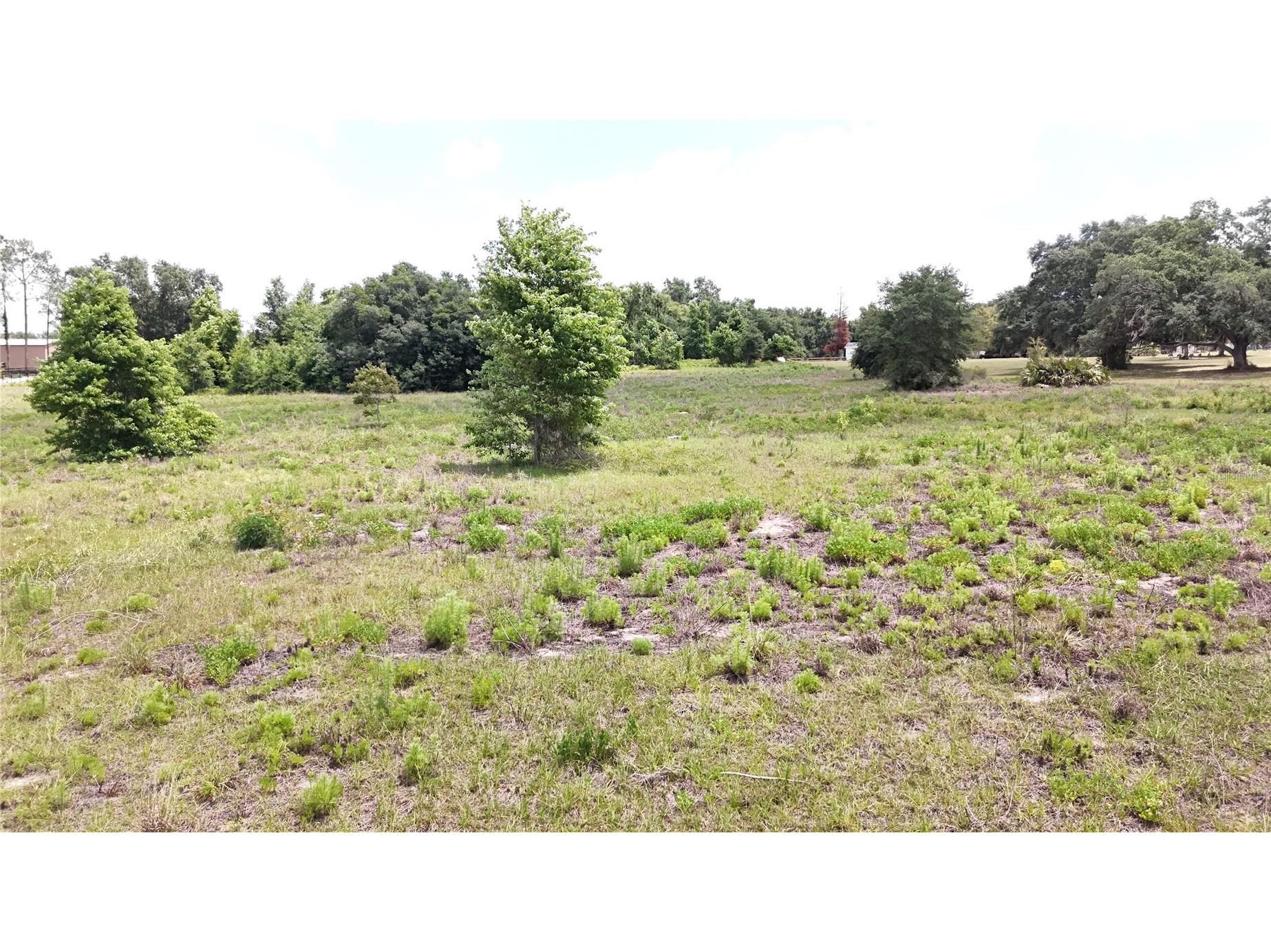 Sonoma Ridge Road Clermont FL 34715 TB8504353 image9