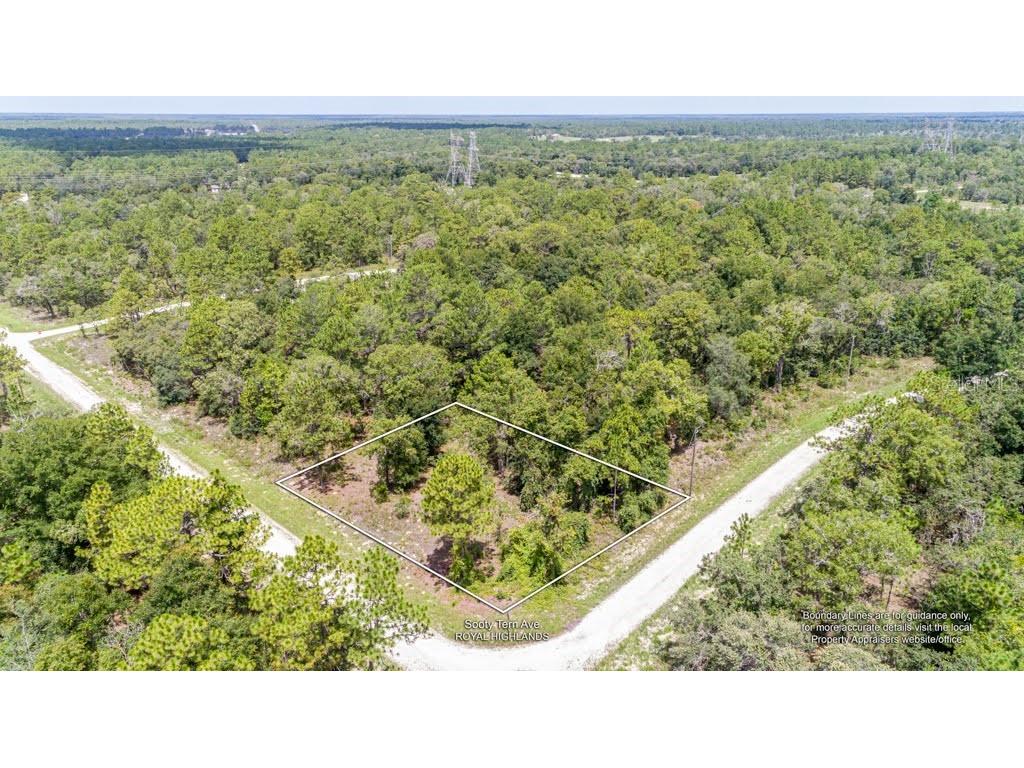 Sooty Tern Avenue Weeki Wachee FL 34614 W7836000 image1