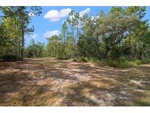 Sooty Tern Avenue Weeki Wachee FL 34614 W7858656 image1