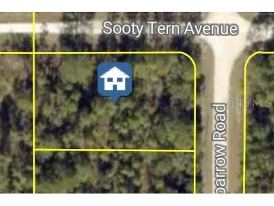 Sooty Tern Avenue Weeki Wachee FL 34614 W7887676 image1