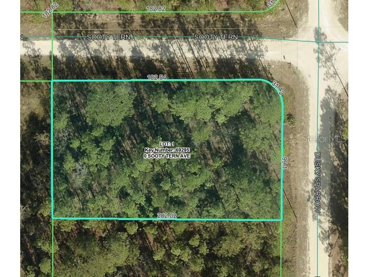 Sooty Tern Avenue Weeki Wachee FL 34614 W7887676 image2