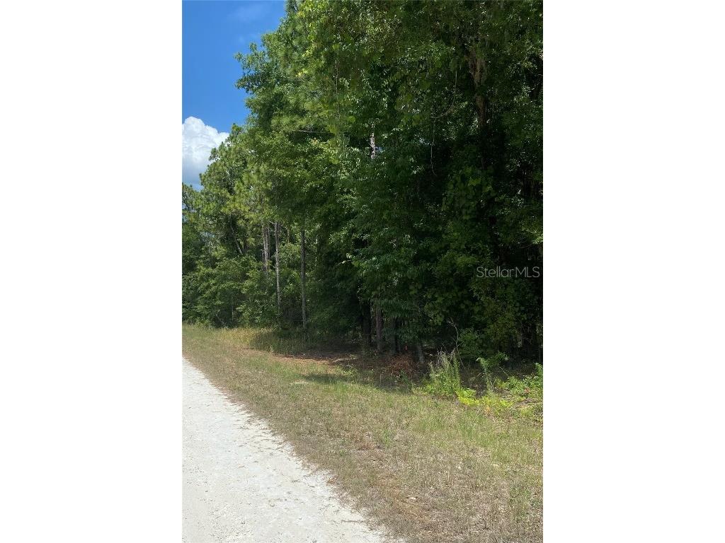 Sooty Tern Lot 2 Avenue Weeki Wachee FL 34614 W7865408 image1