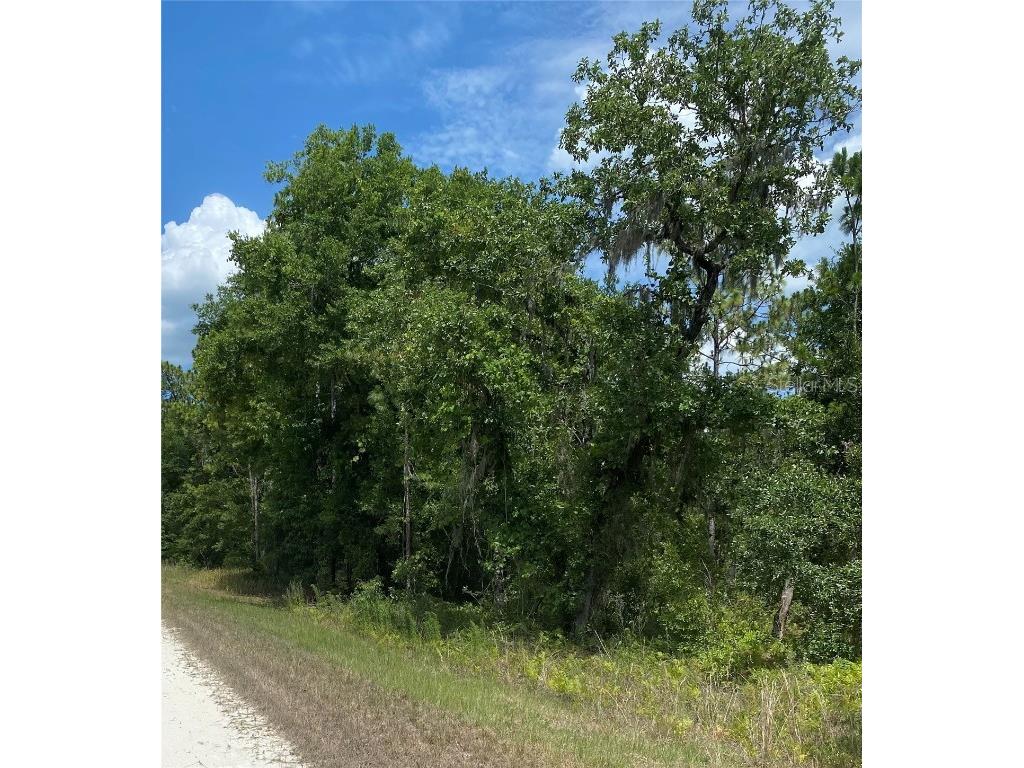 Sooty Tern Lot 3 Avenue Weeki Wachee FL 34614 W7865409 image1