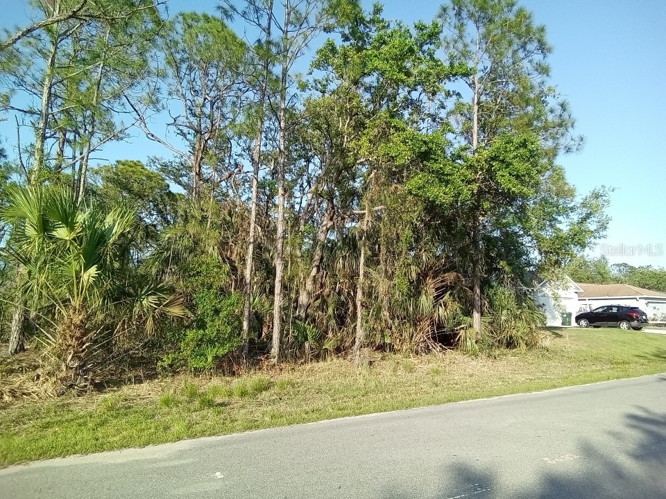 Soprano Lane North Port FL 34286 O6108883 image1