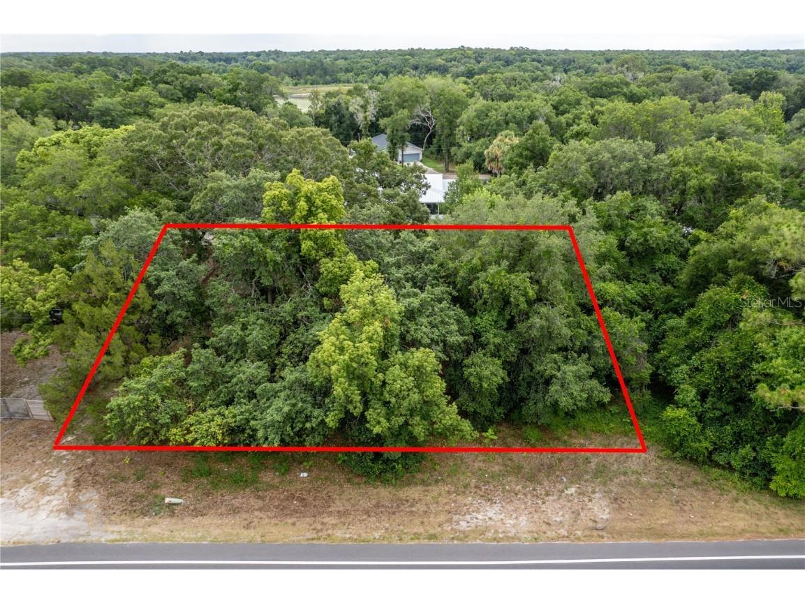 Sorrento Avenue Mount Plymouth FL 32776 O6357229 image1