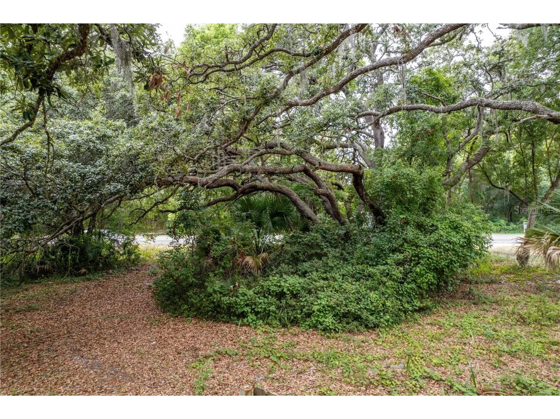 Sorrento Avenue Mount Plymouth FL 32776 O6357229 image17