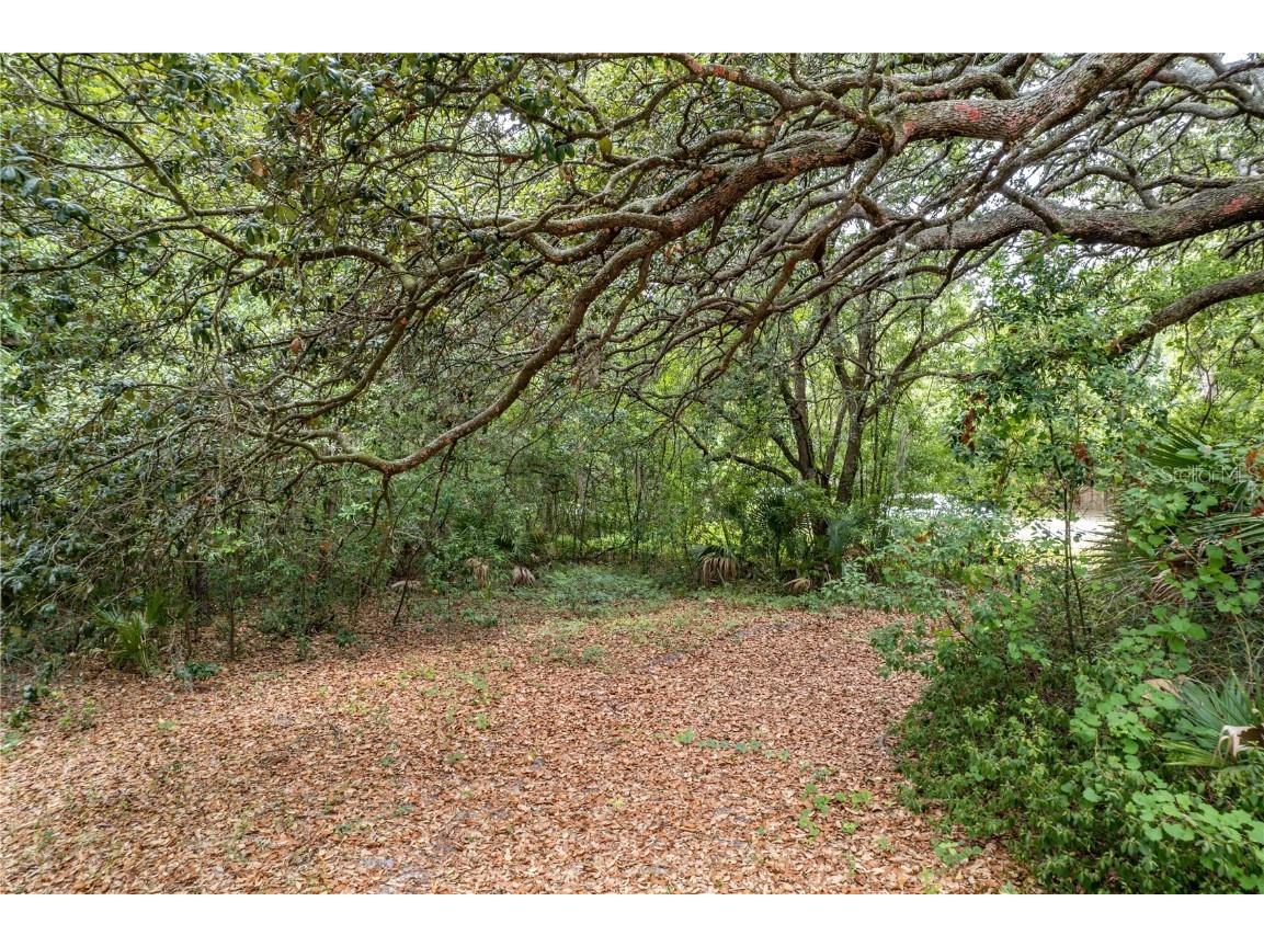 Sorrento Avenue Mount Plymouth FL 32776 O6357229 image18