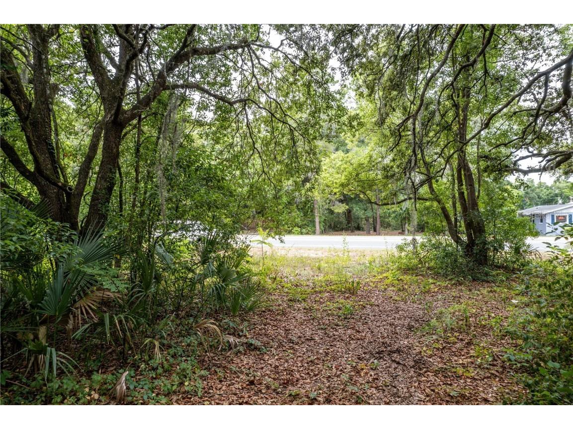 Sorrento Avenue Mount Plymouth FL 32776 O6357229 image19