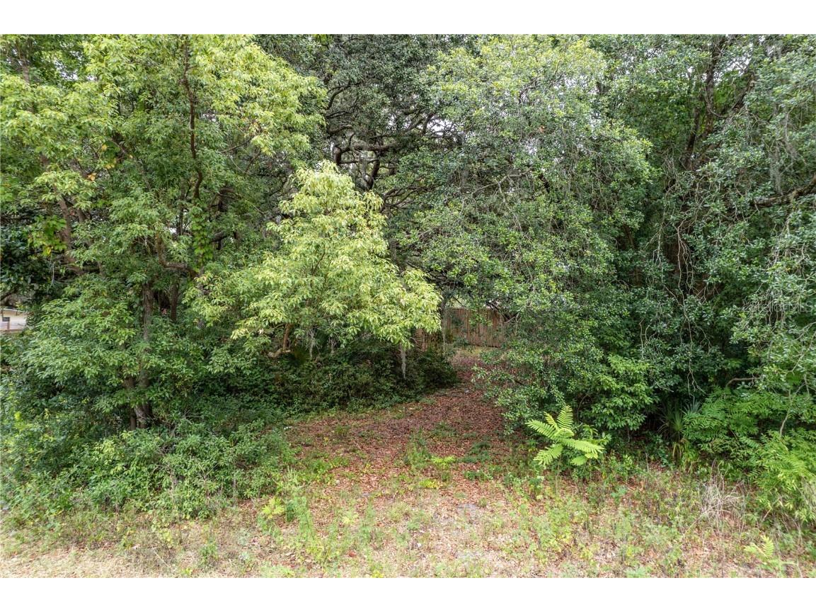 Sorrento Avenue Mount Plymouth FL 32776 O6357229 image20