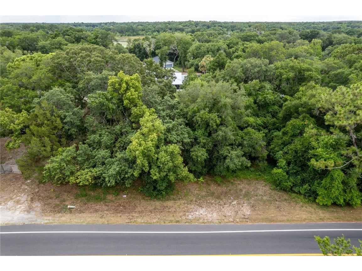 Sorrento Avenue Mount Plymouth FL 32776 O6357229 image3