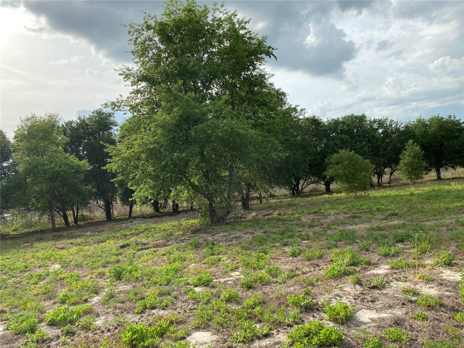 South O 'Brien Road Groveland FL 34736 O6391229 image1