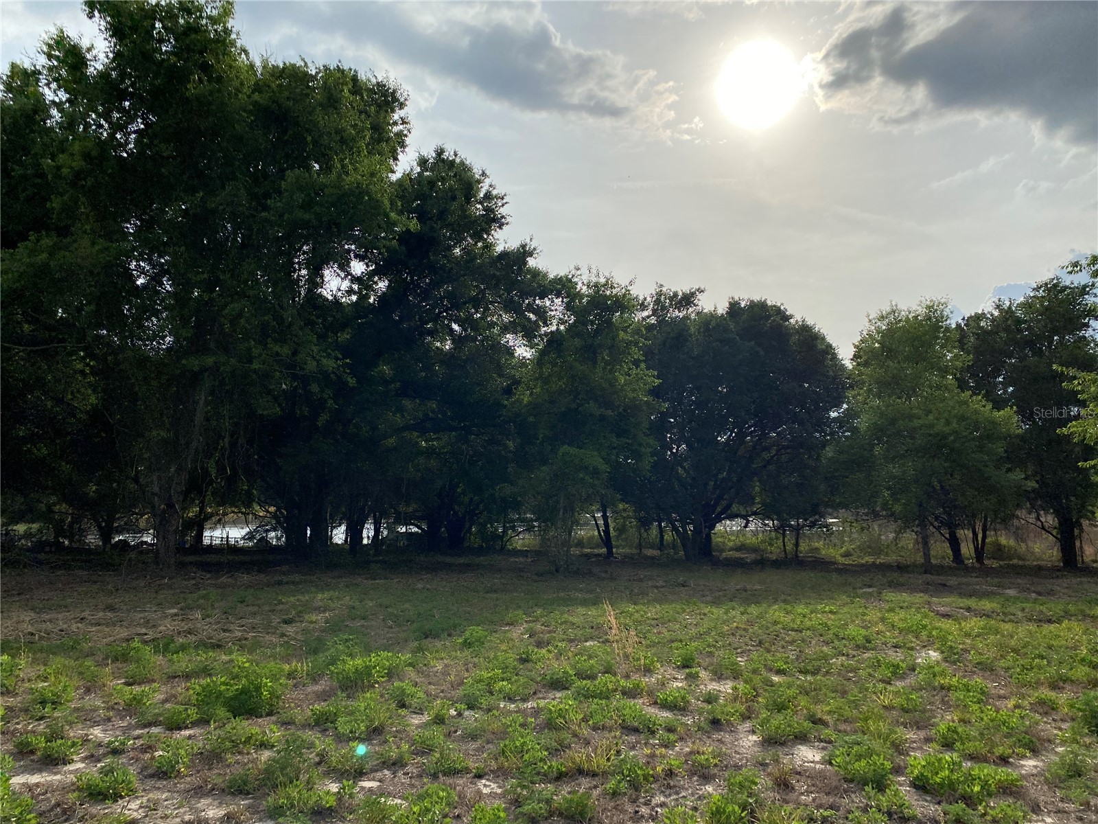 South O 'Brien Road Groveland FL 34736 O6391229 image2