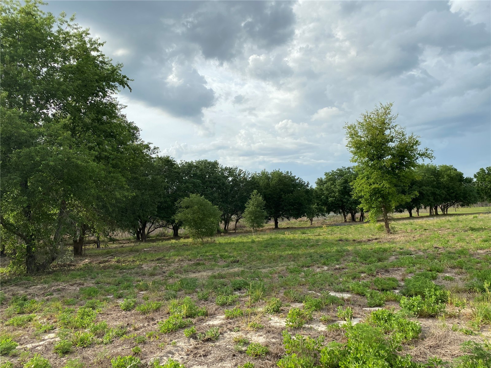 South O 'Brien Road Groveland FL 34736 O6391229 image3