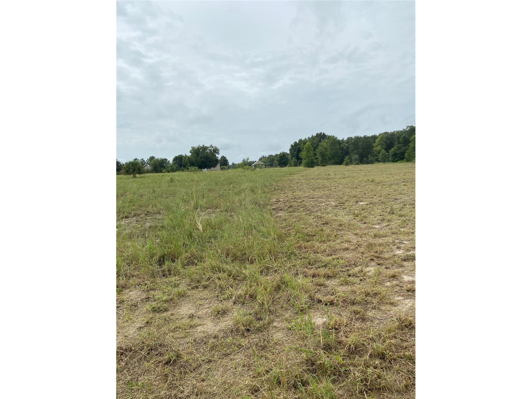 South O 'Brien Road Groveland FL 34736 O6391229 image5