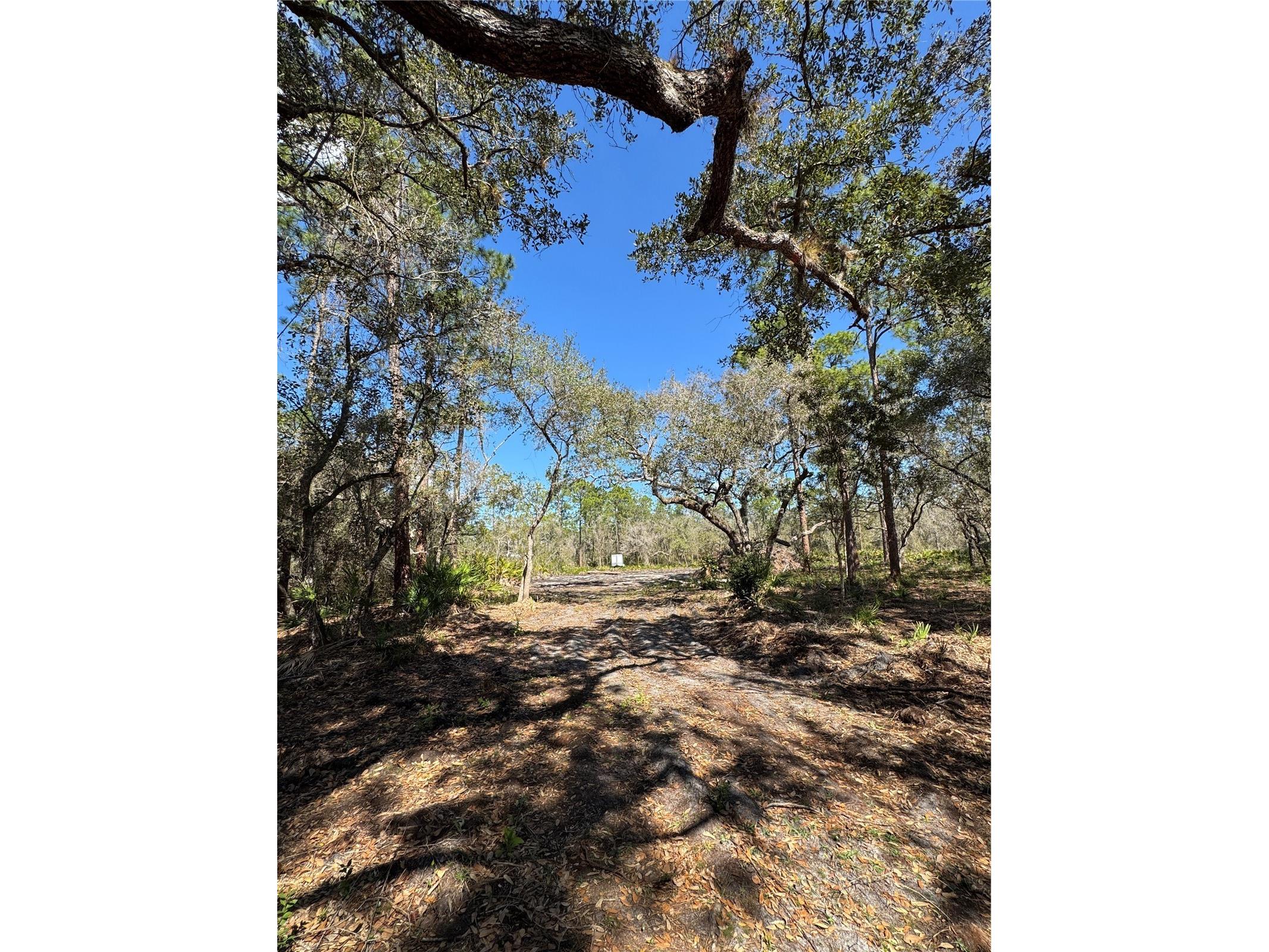 South Shore Dr Lake Wales FL 33898 S5144468 image1