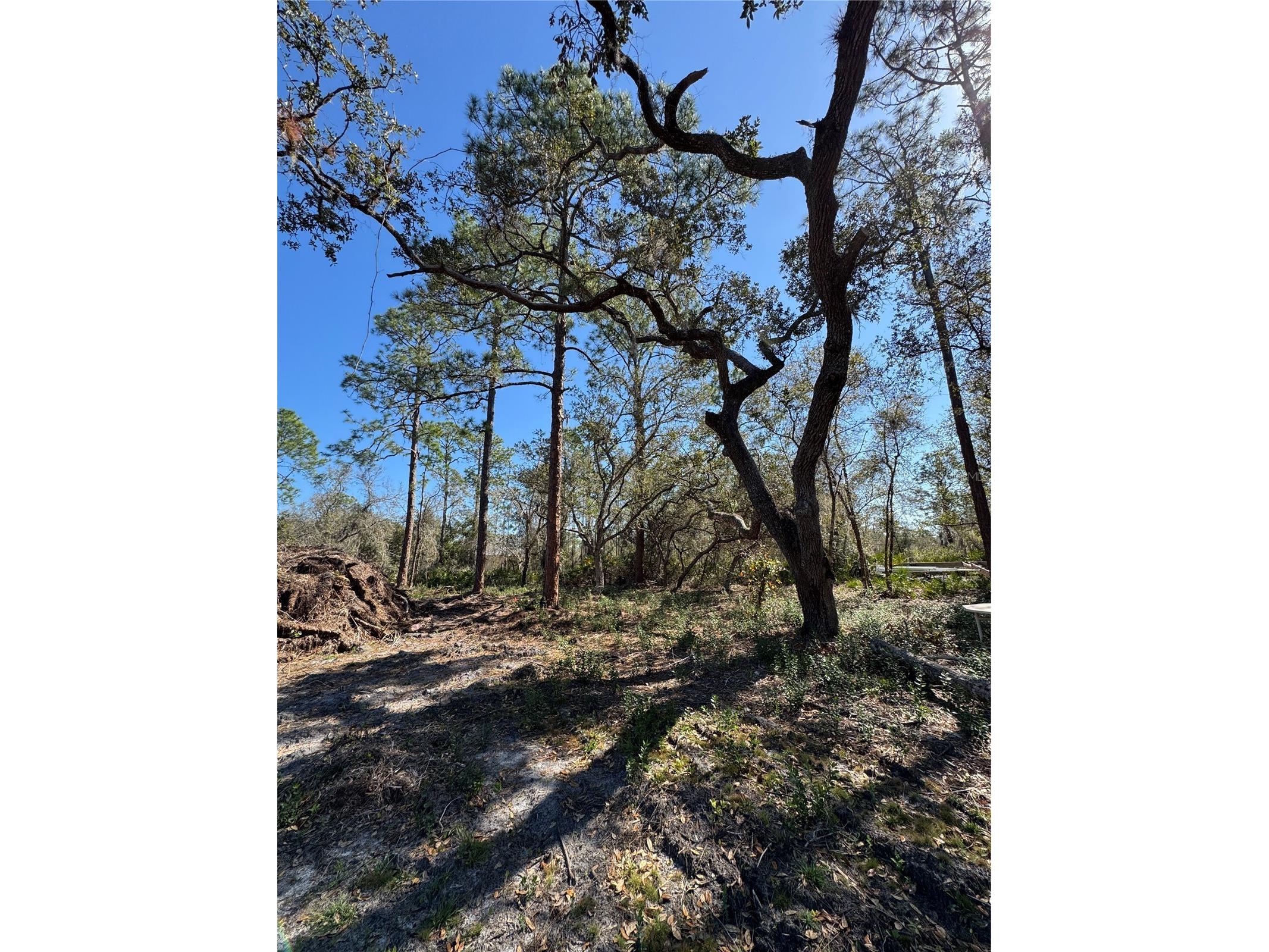 South Shore Dr Lake Wales FL 33898 S5144468 image10