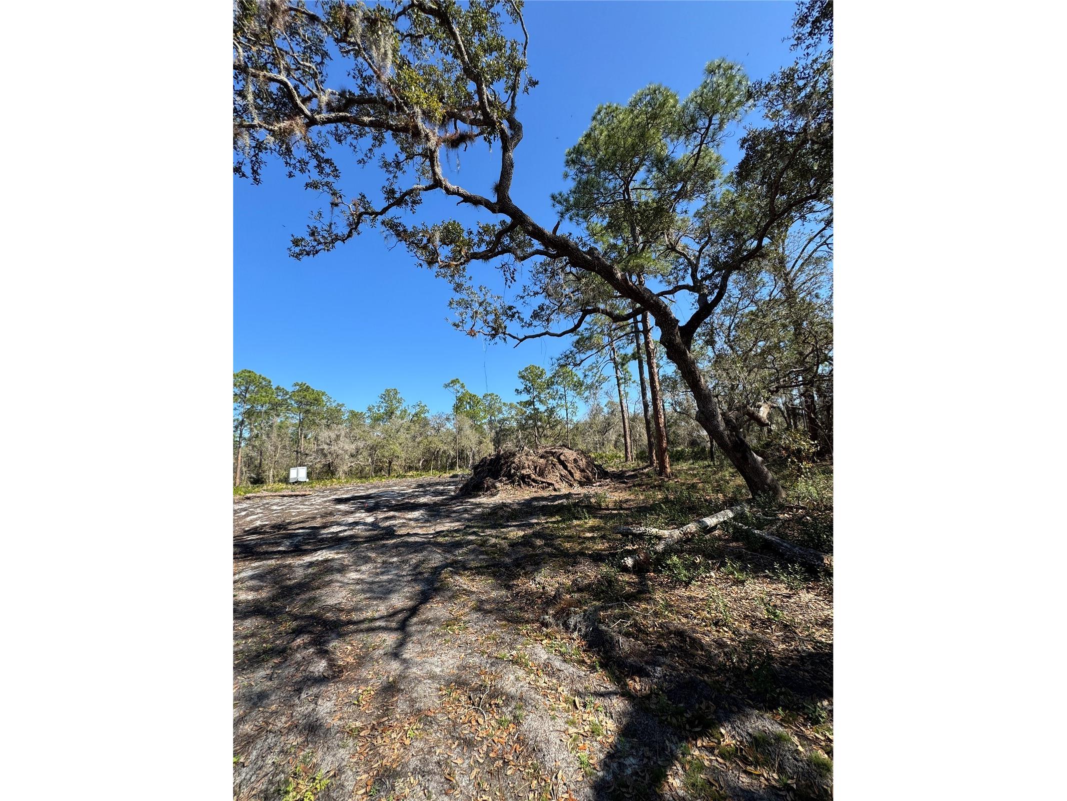 South Shore Dr Lake Wales FL 33898 S5144468 image11