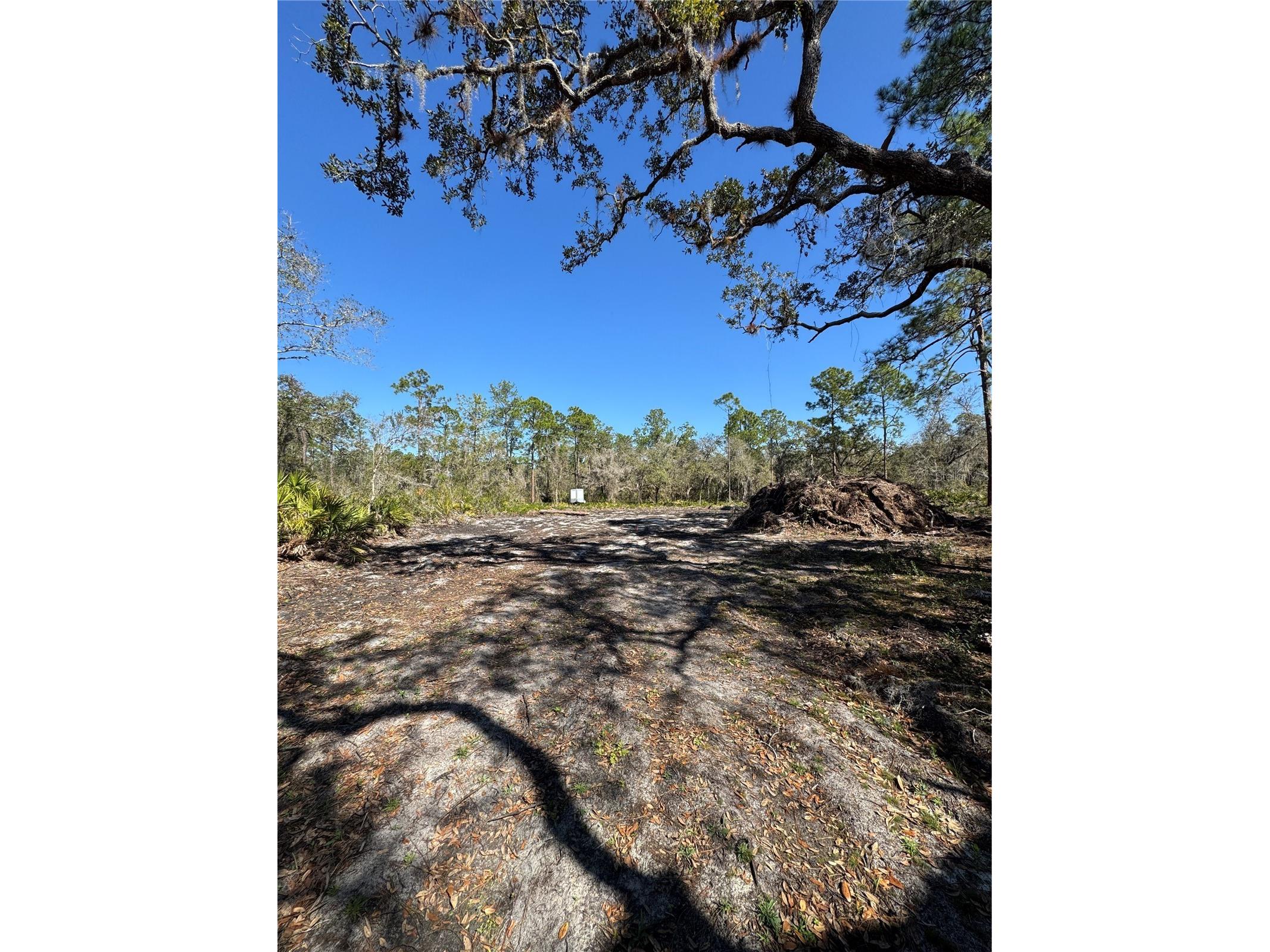 South Shore Dr Lake Wales FL 33898 S5144468 image12