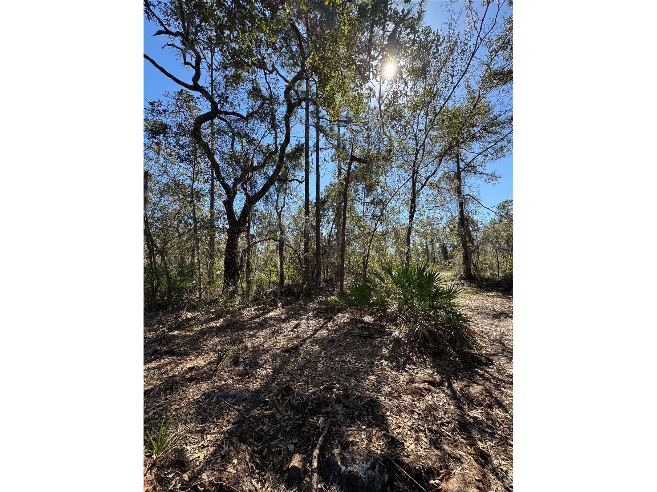 South Shore Dr Lake Wales FL 33898 S5144468 image13