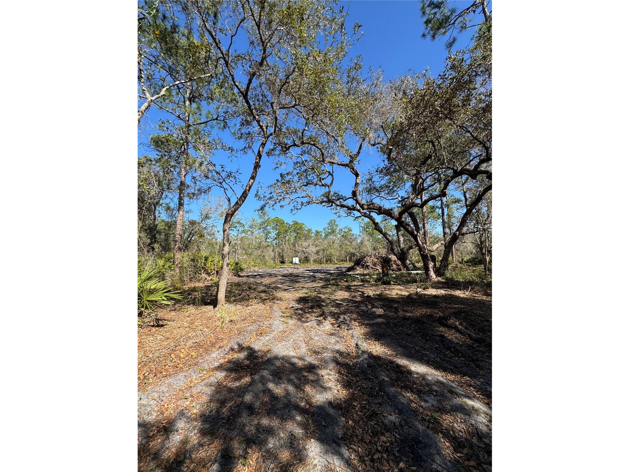 South Shore Dr Lake Wales FL 33898 S5144468 image15