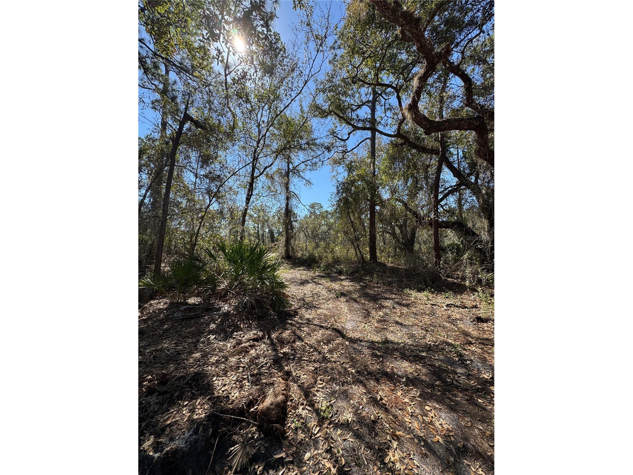 South Shore Dr Lake Wales FL 33898 S5144468 image16