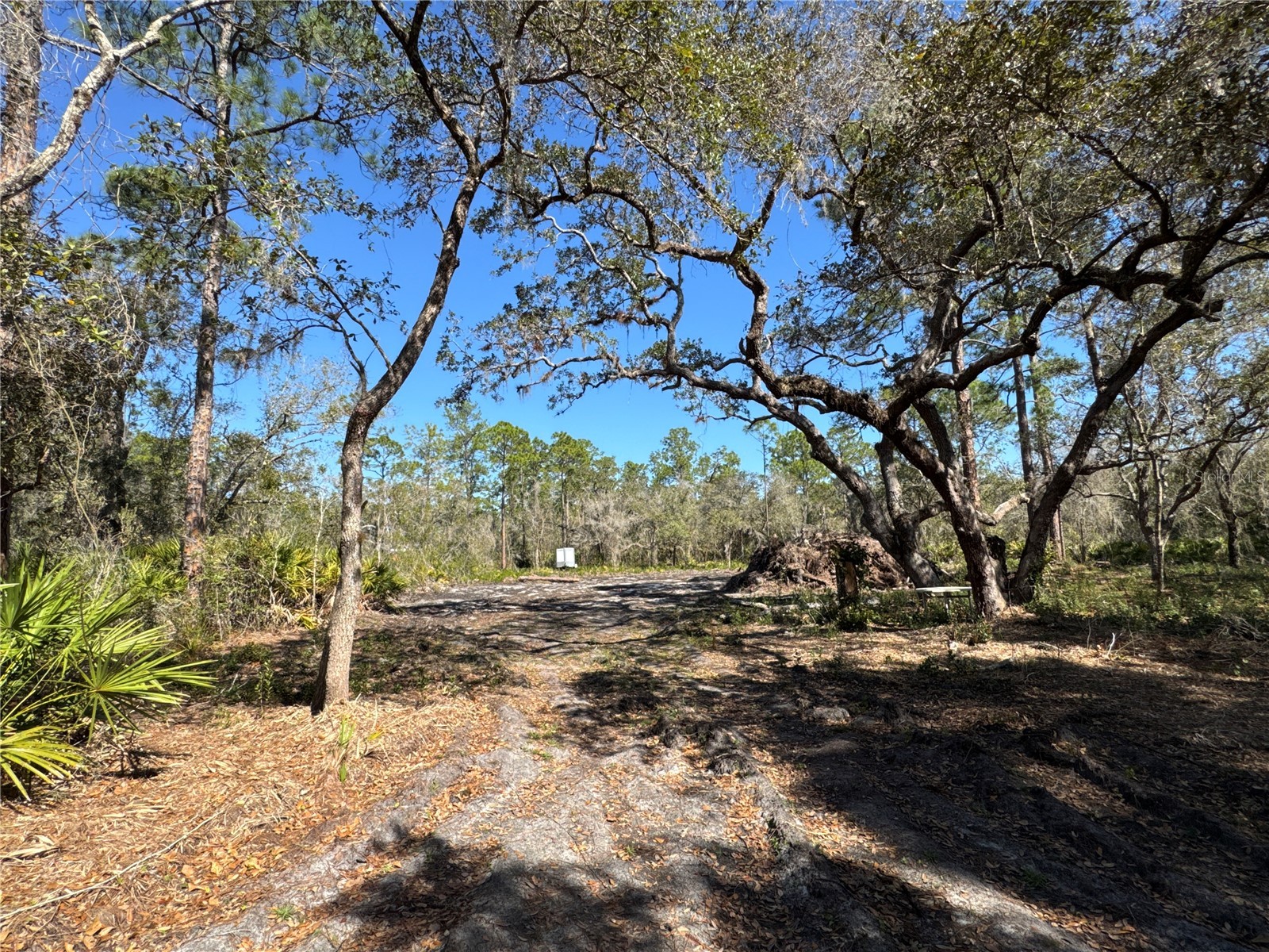 South Shore Dr Lake Wales FL 33898 S5144468 image17