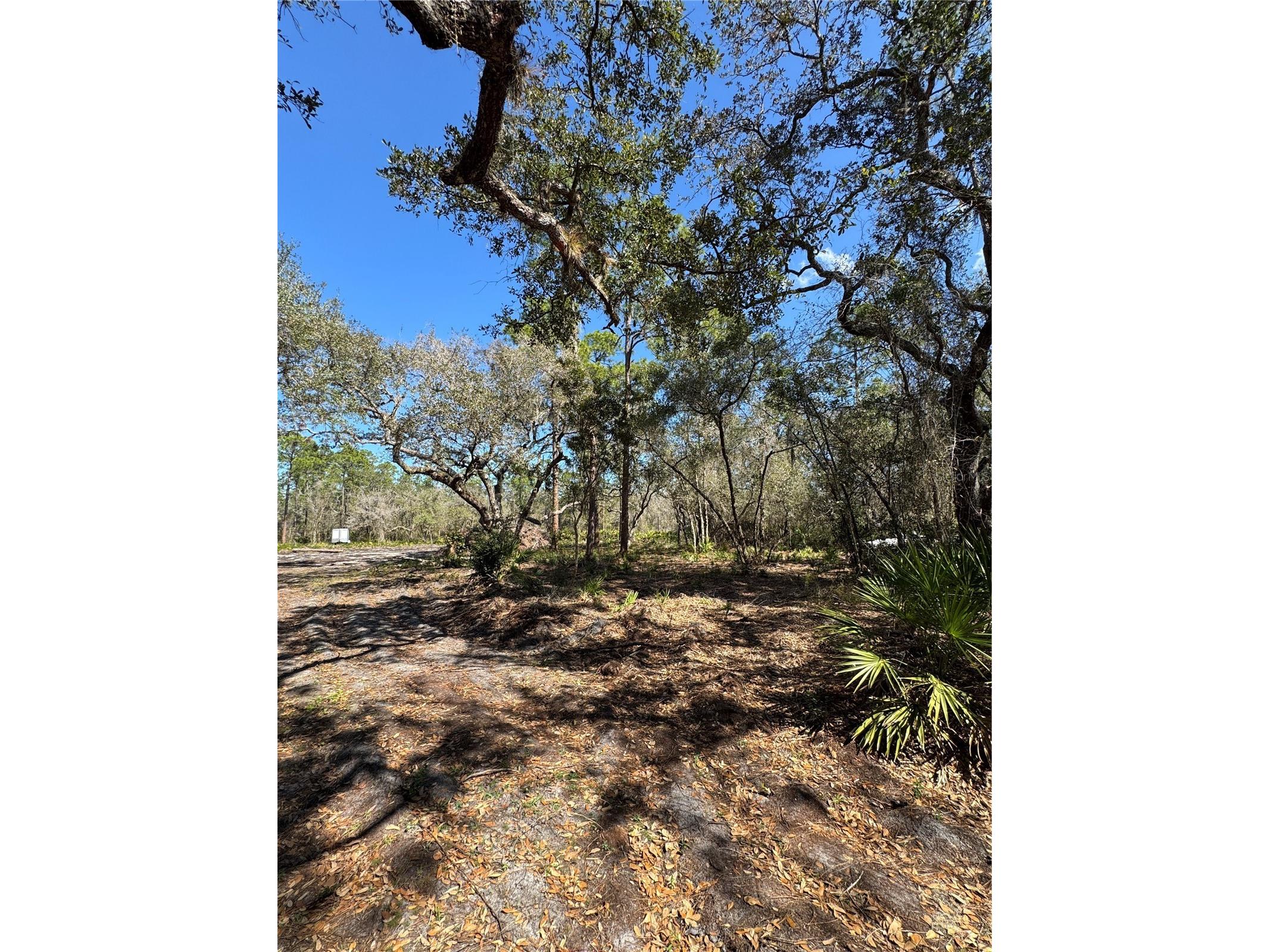 South Shore Dr Lake Wales FL 33898 S5144468 image2