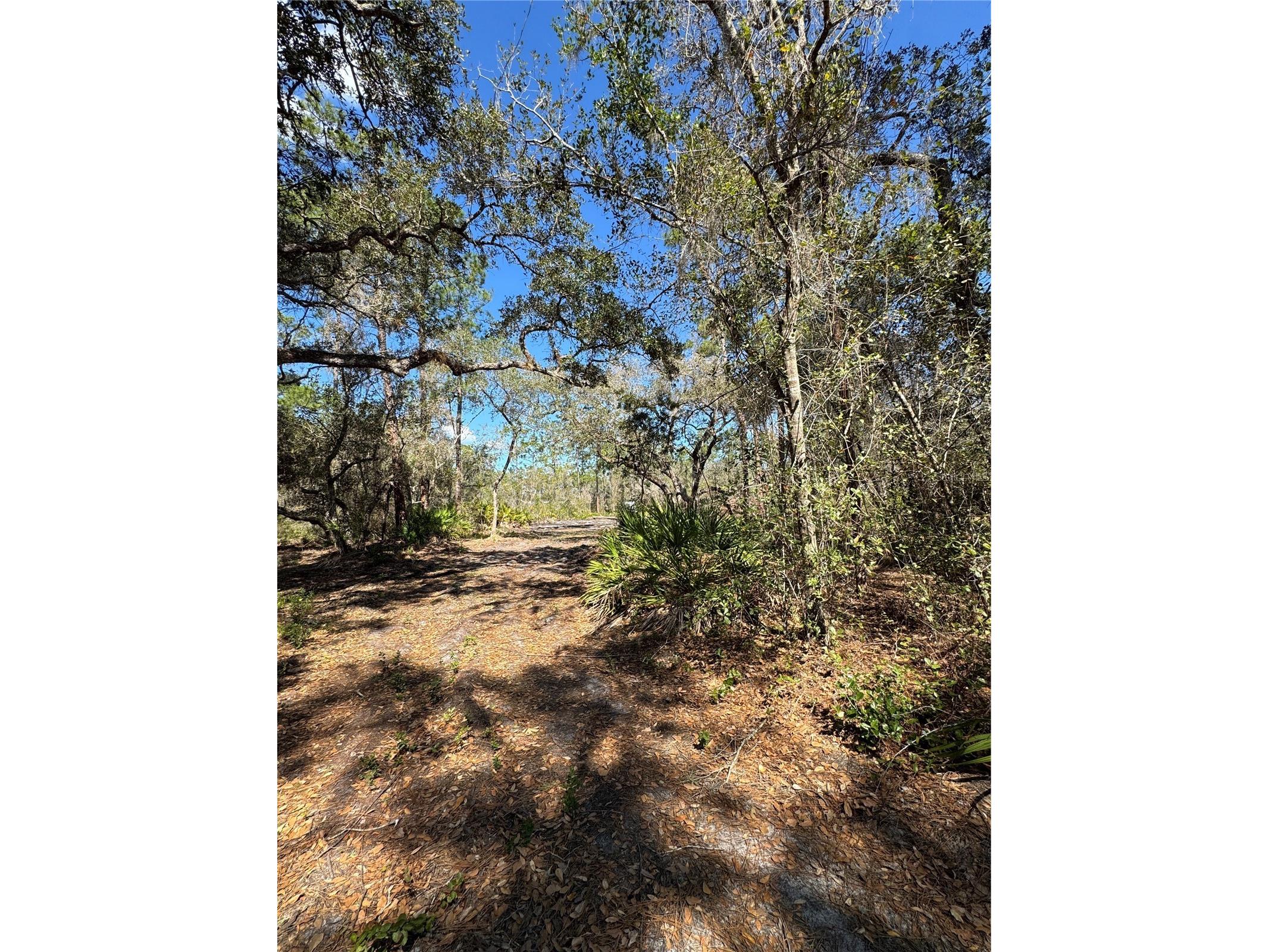 South Shore Dr Lake Wales FL 33898 S5144468 image5