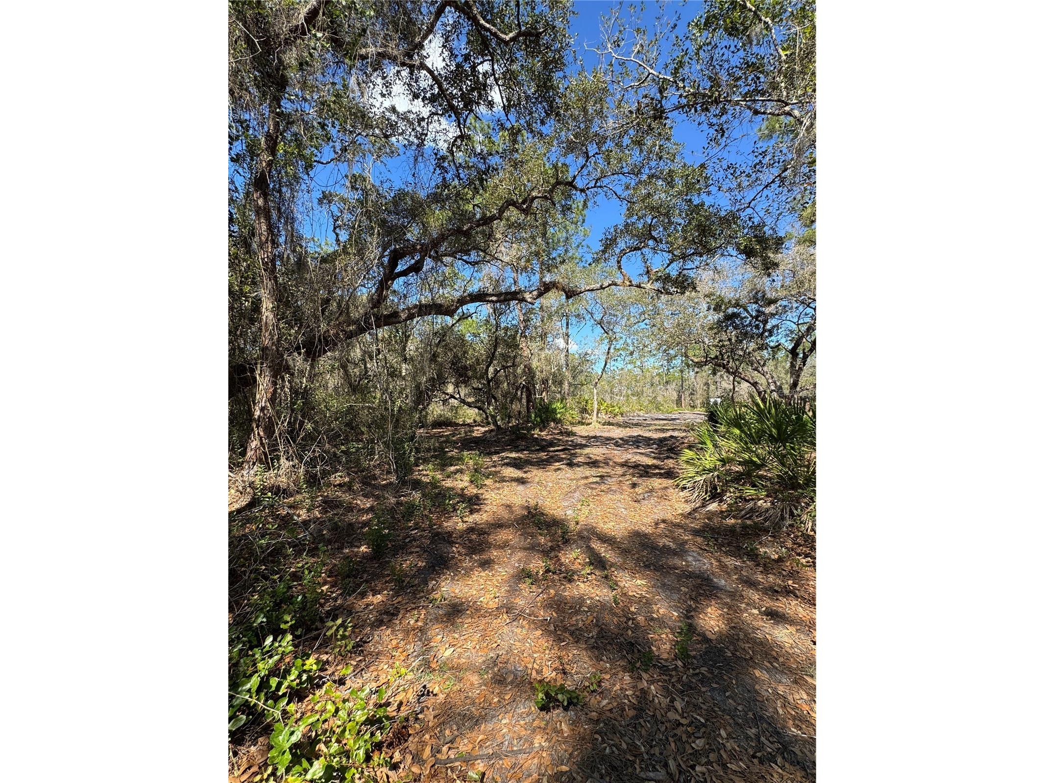South Shore Dr Lake Wales FL 33898 S5144468 image6