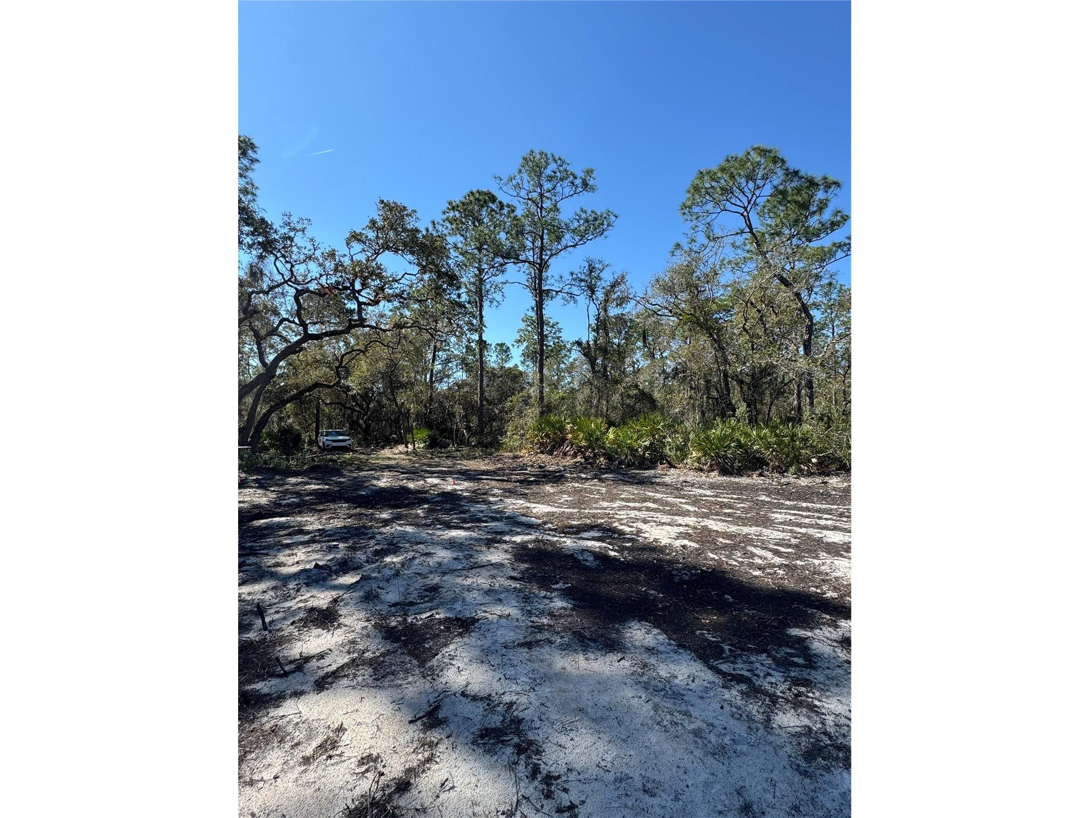 South Shore Dr Lake Wales FL 33898 S5144468 image8