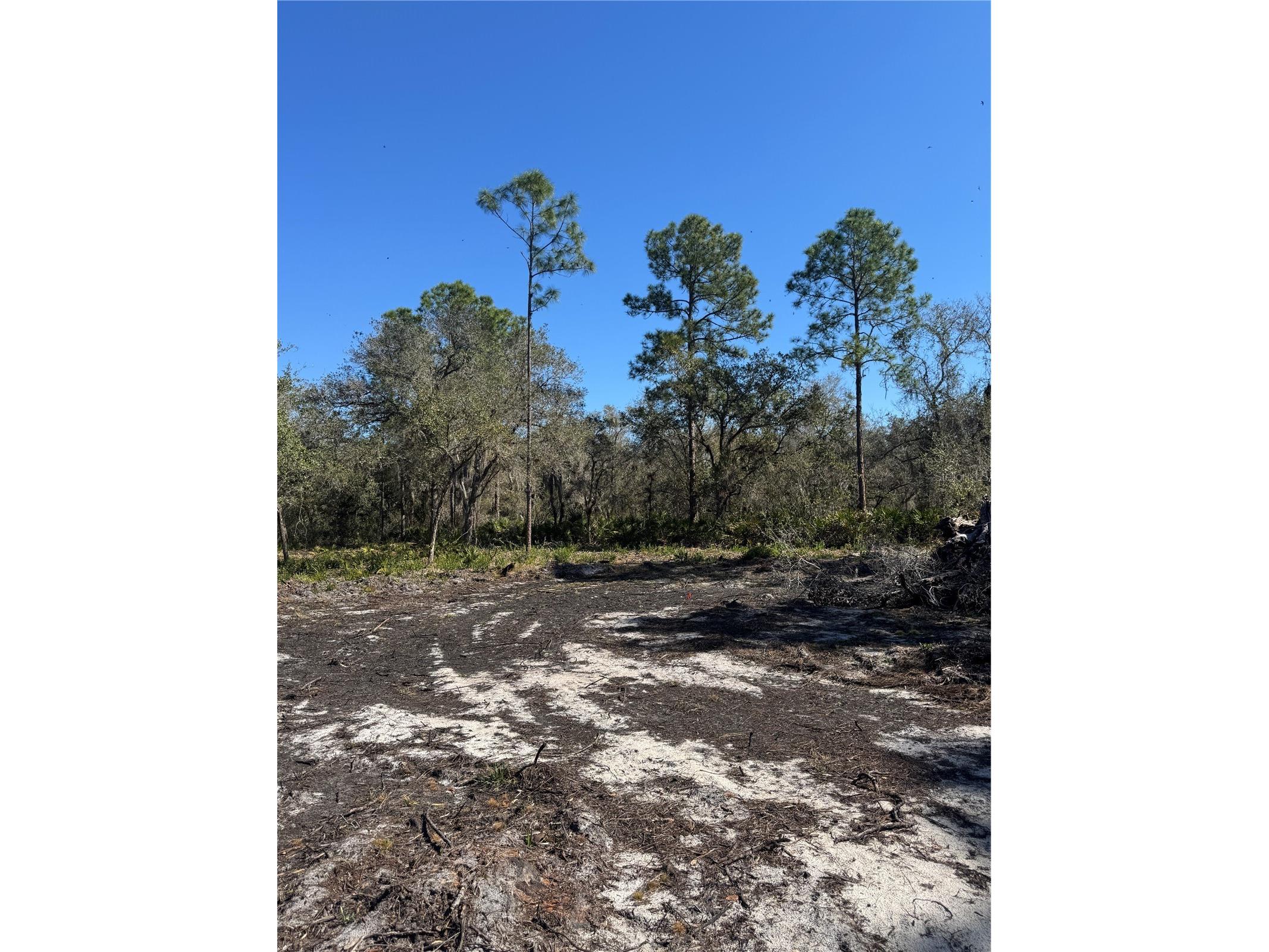 South Shore Dr Lake Wales FL 33898 S5144468 image9