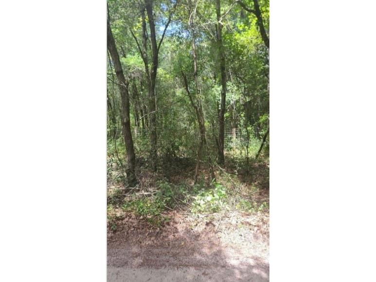 Southwest 156th Place Dunnellon FL 34432 P4937158 image1