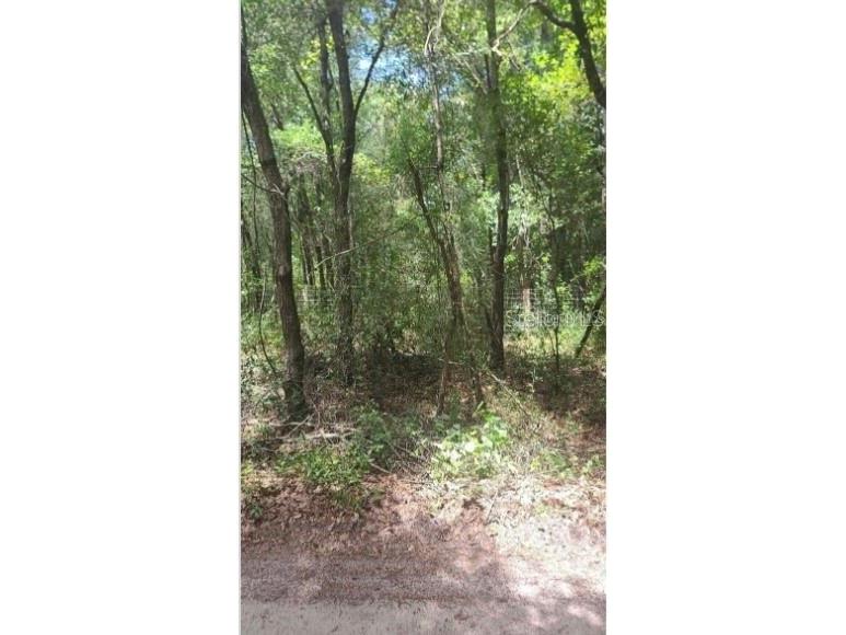 Southwest 156th Place Dunnellon FL 34432 P4939256 image1