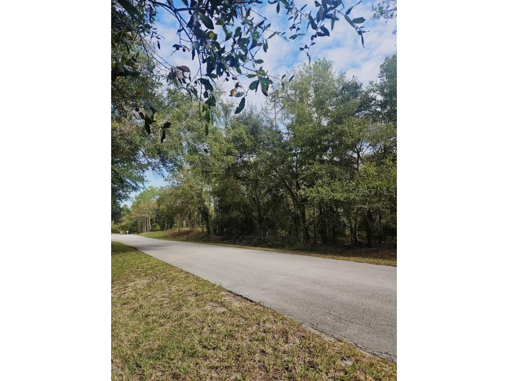 Southwest 206th Court Rd Dunnellon FL 34431 S5115141 image11