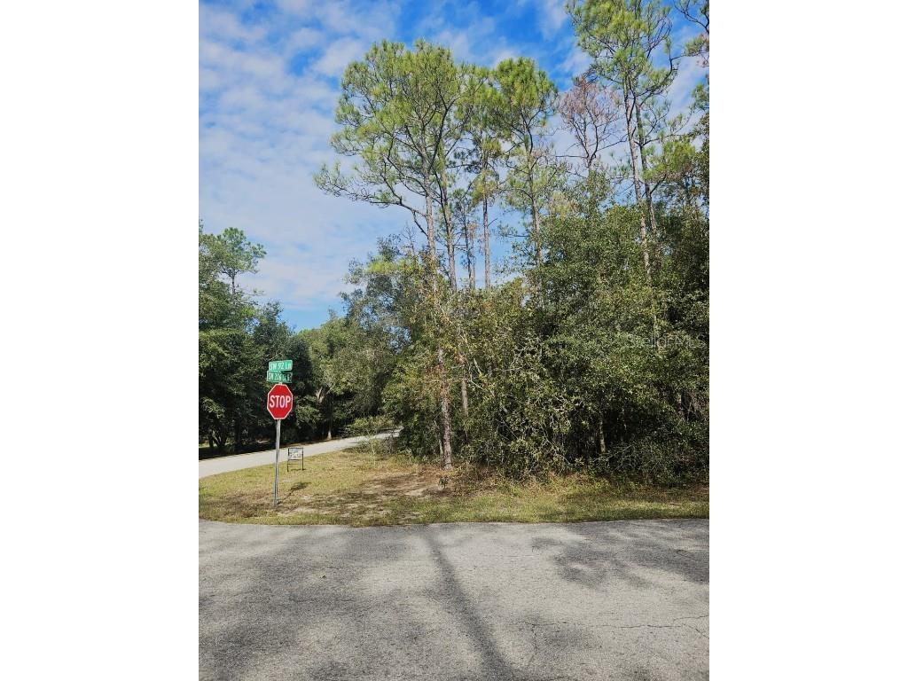 Southwest 206th Court Rd Dunnellon FL 34431 S5115141 image2