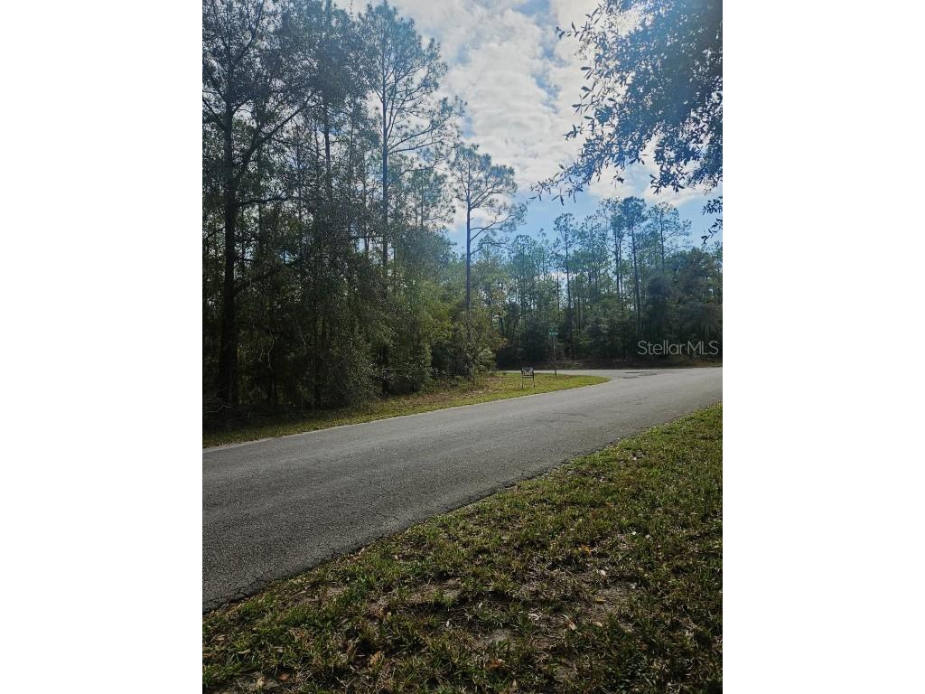 Southwest 206th Court Rd Dunnellon FL 34431 S5115141 image5
