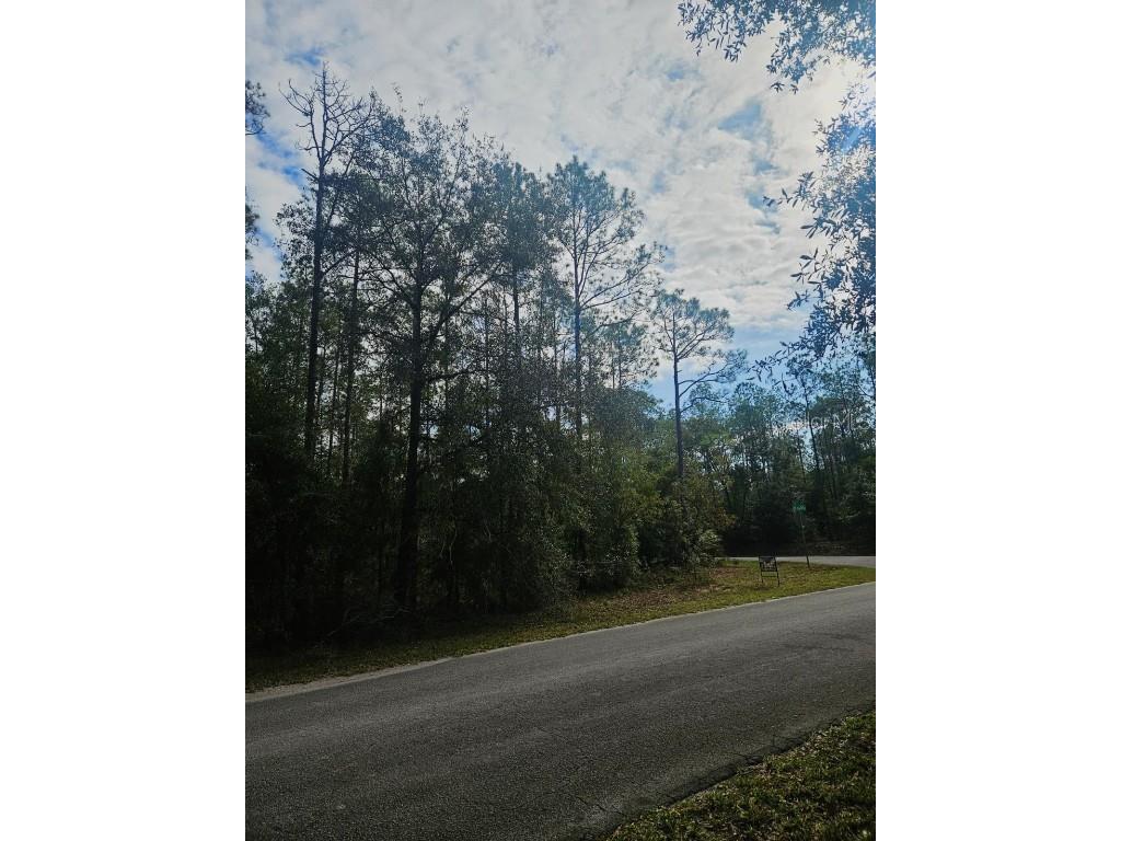 Southwest 206th Court Rd Dunnellon FL 34431 S5115141 image6