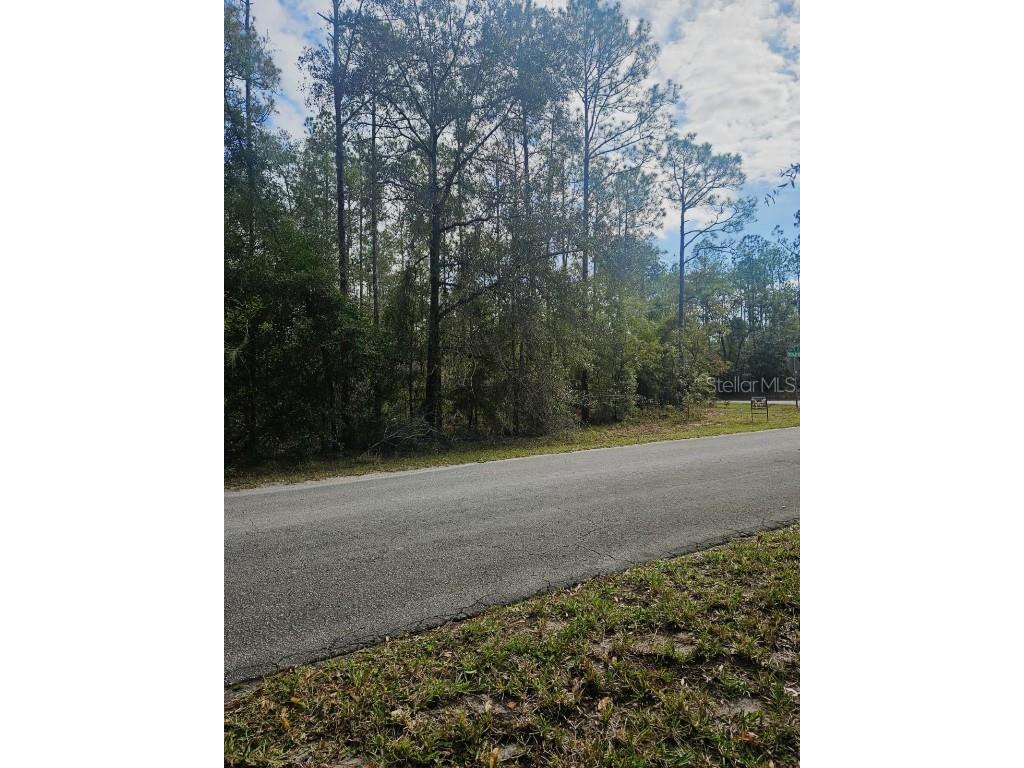 Southwest 206th Court Rd Dunnellon FL 34431 S5115141 image7